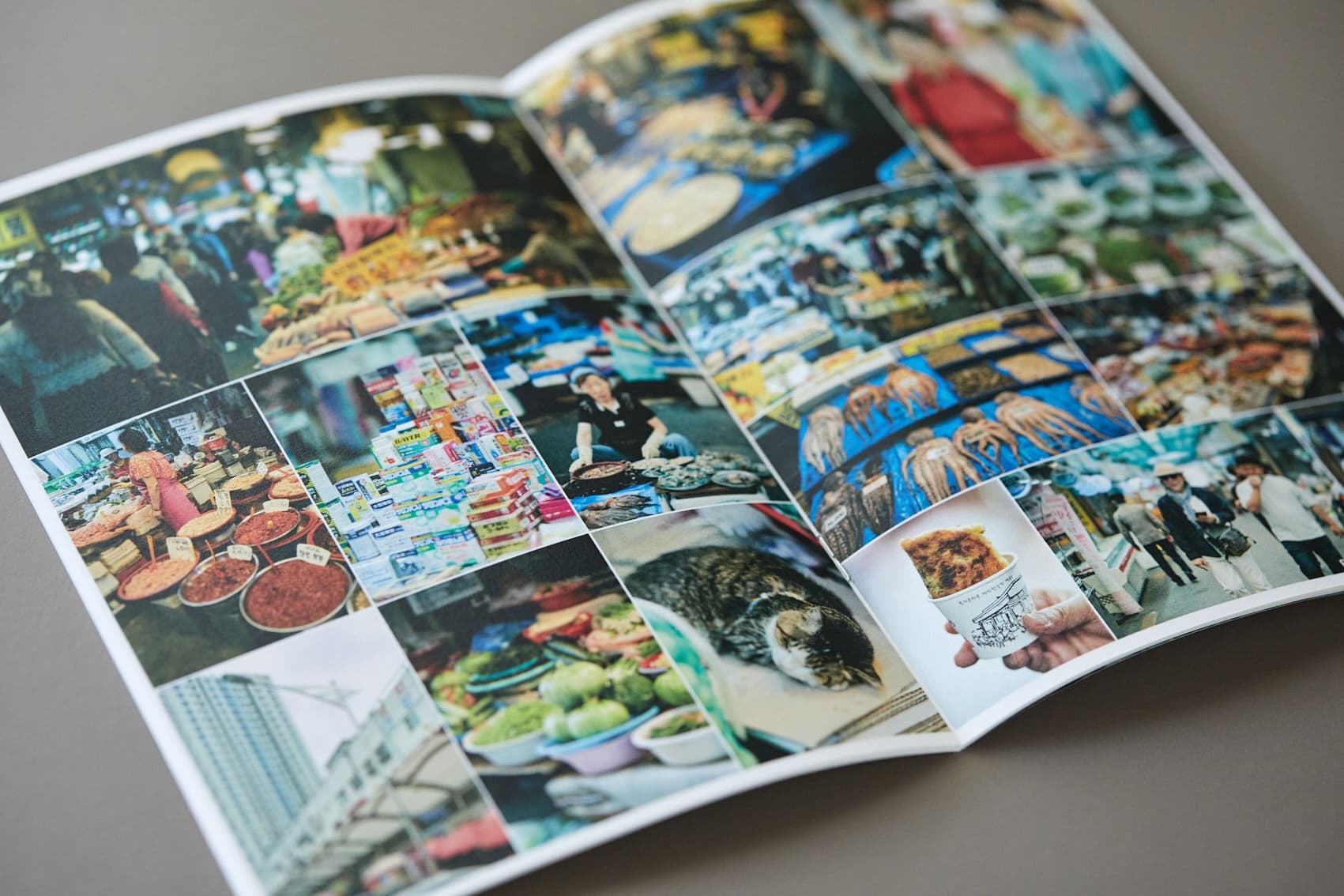 542754349_24428568616799865_5316252646042233712_n